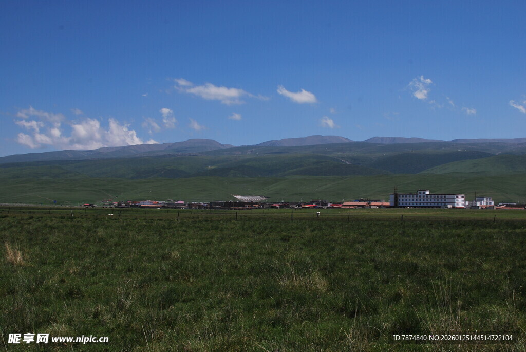草原风光 蓝天白云下的绿野