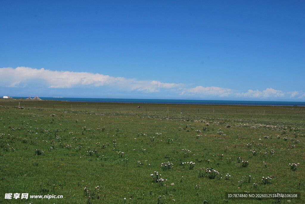 广袤草原 蓝天白云美景