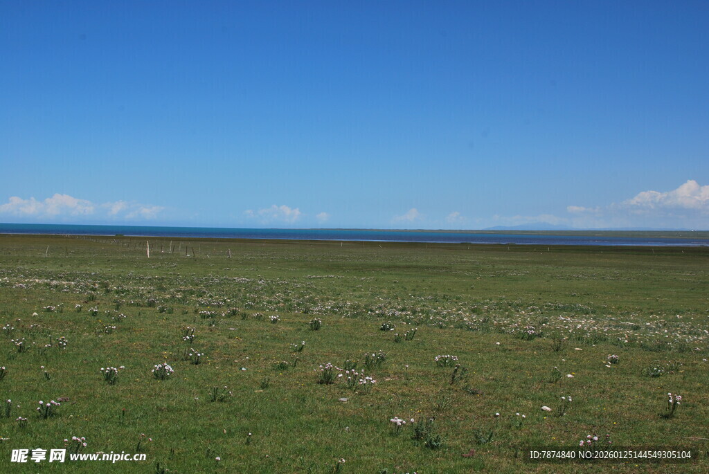 广袤草原与蓝天景观