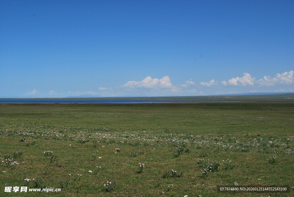 广袤草原与蓝天相接