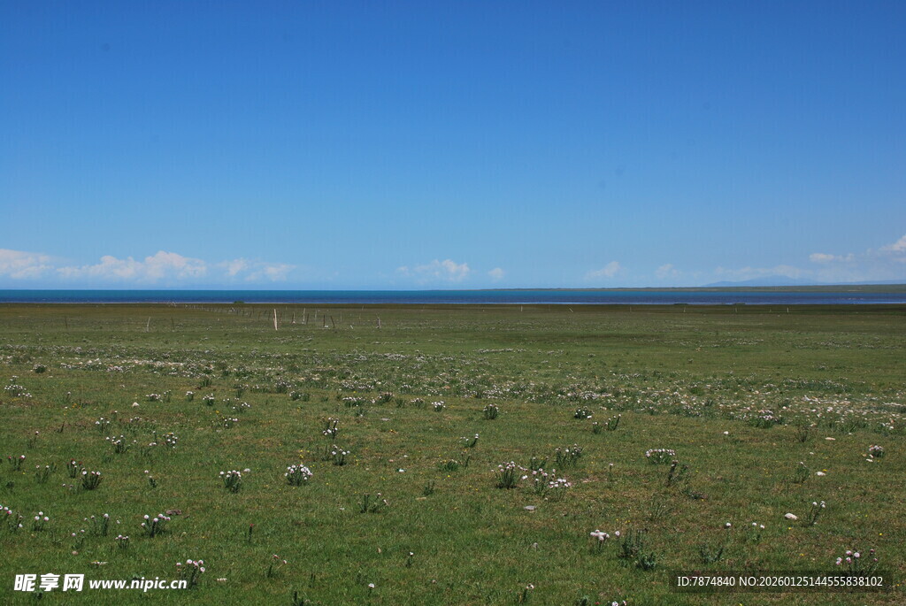广袤草原 蓝天之下的风景