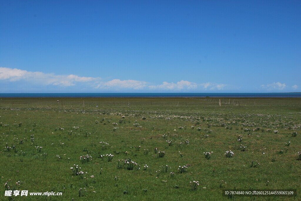广袤草原蓝天美景