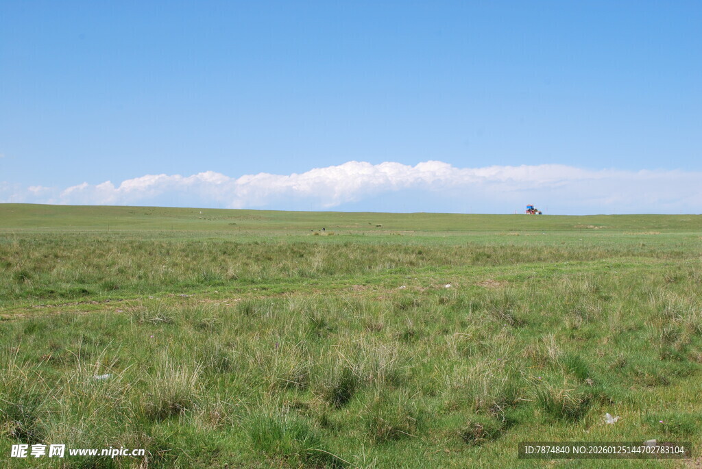 广袤草原 蓝天白云之景
