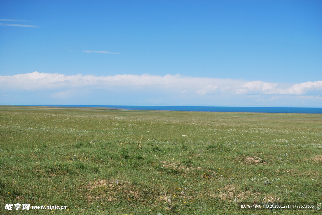 辽阔草原与蓝天相接