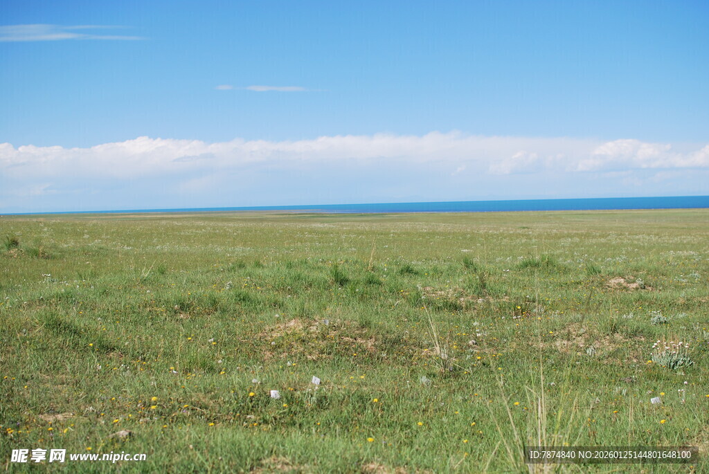 广袤草原 蓝天绿地美景