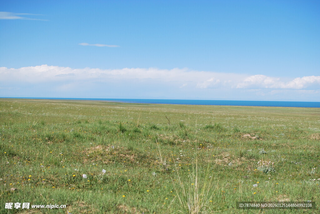 广袤草原与蓝天相接