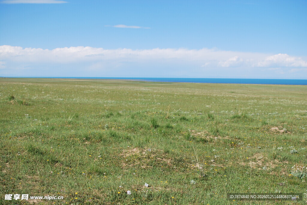 广袤草原与蓝天相接