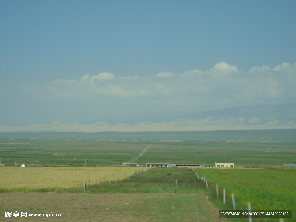 田园风光中的蜿蜒小路