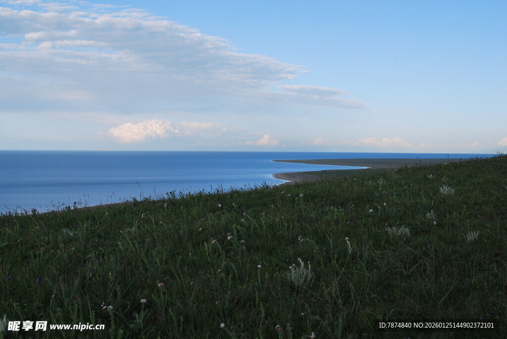 海边草地风光
