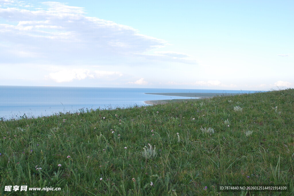 草原与海的美丽风光