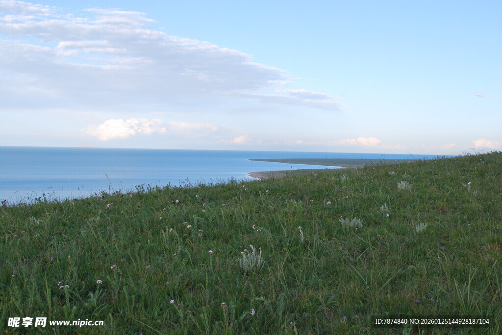 草原与海的美丽风光