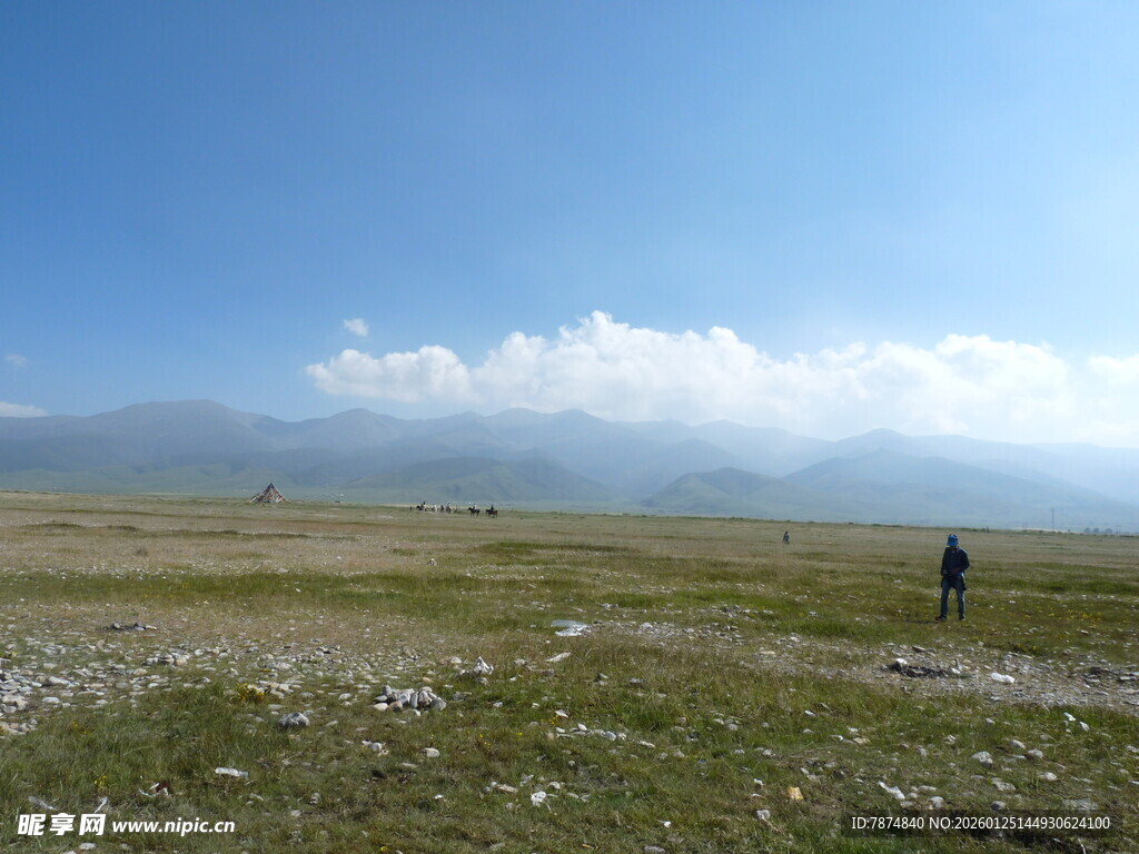 草原旷野中的独行者