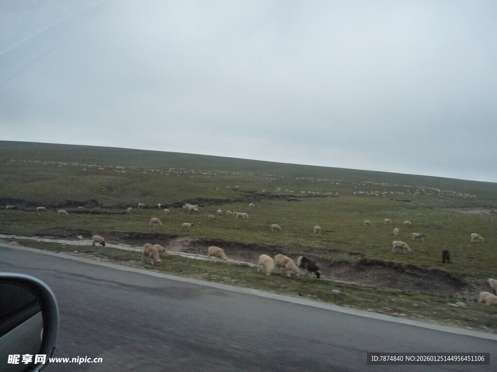 公路旁的开阔草地景观