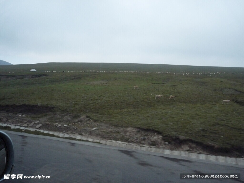 公路旁的开阔草原景色