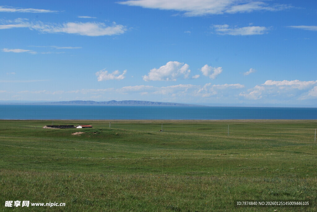 辽阔草原与蓝天相映成趣
