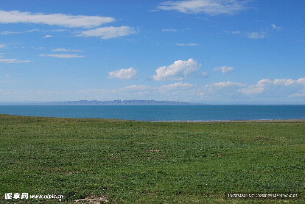 草原与海的美丽景致