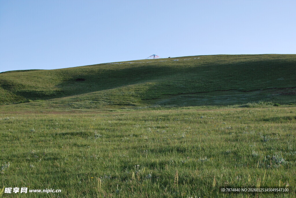 广袤绿草地 自然好风光