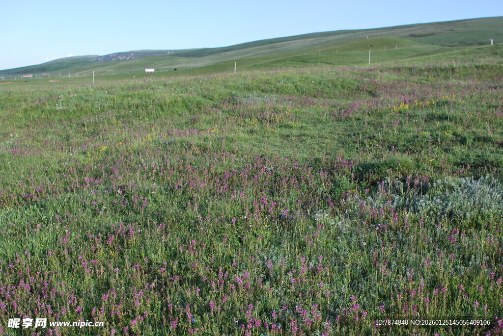 广袤草原的自然景致
