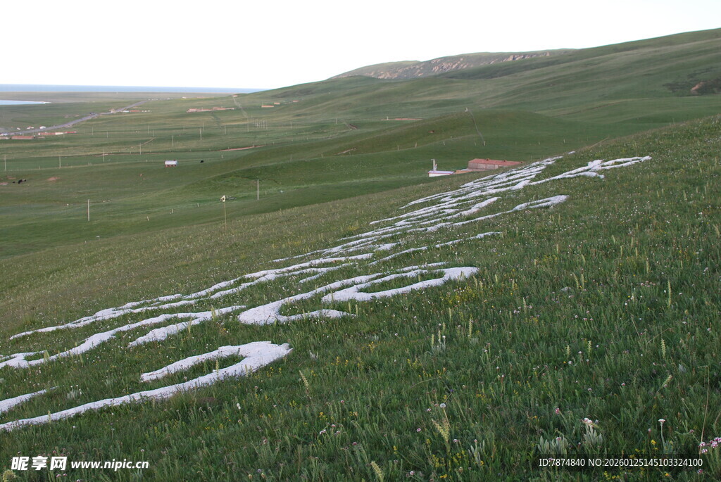 草原上的残雪景观