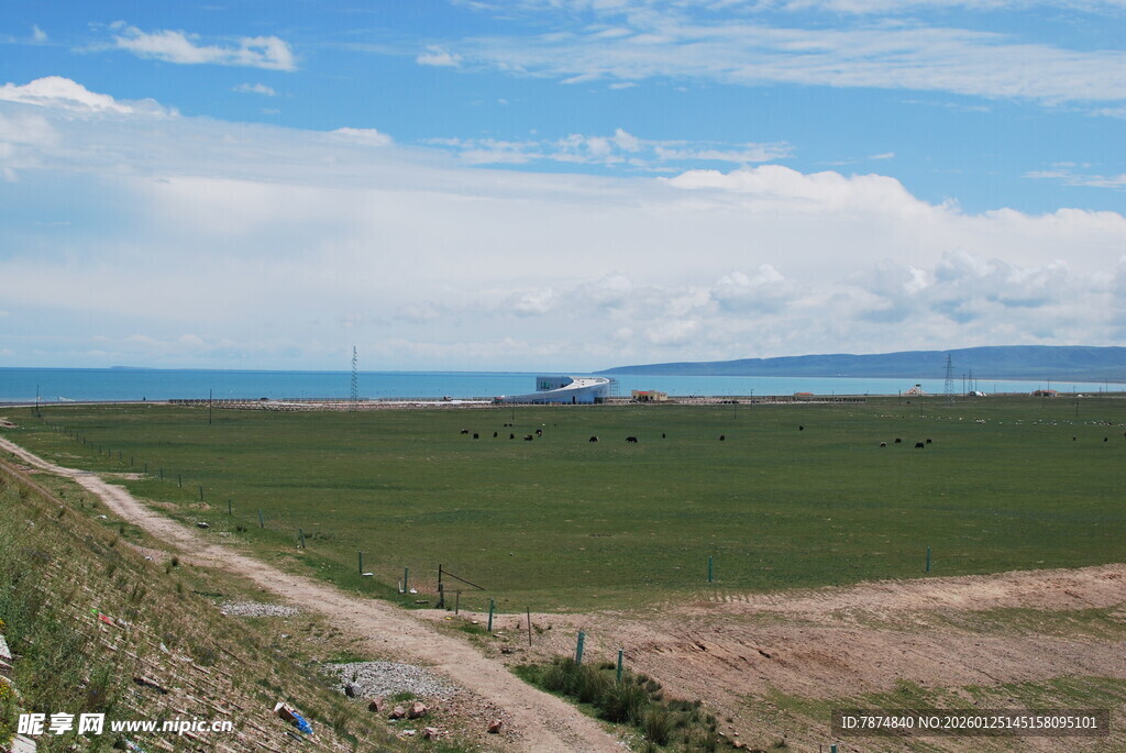 广阔田野与远处海洋景观