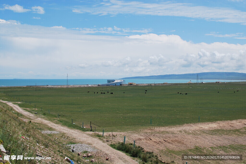 广袤田野与远方蓝天美景