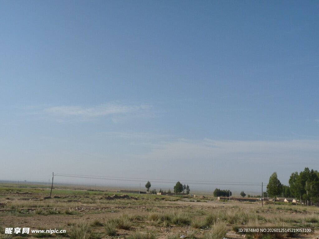 广袤原野上的稀疏树木