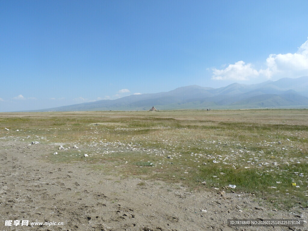 广袤草原 蓝天白云野花