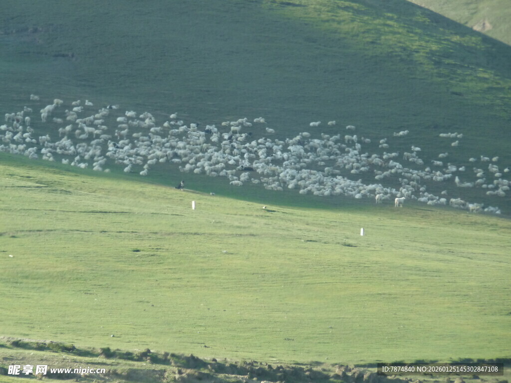 草原畔的村落景观