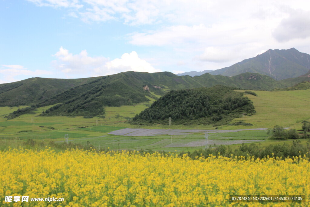 草原花海与远山美景