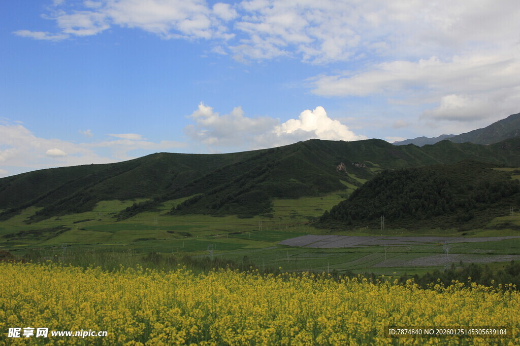草原花海与远山美景