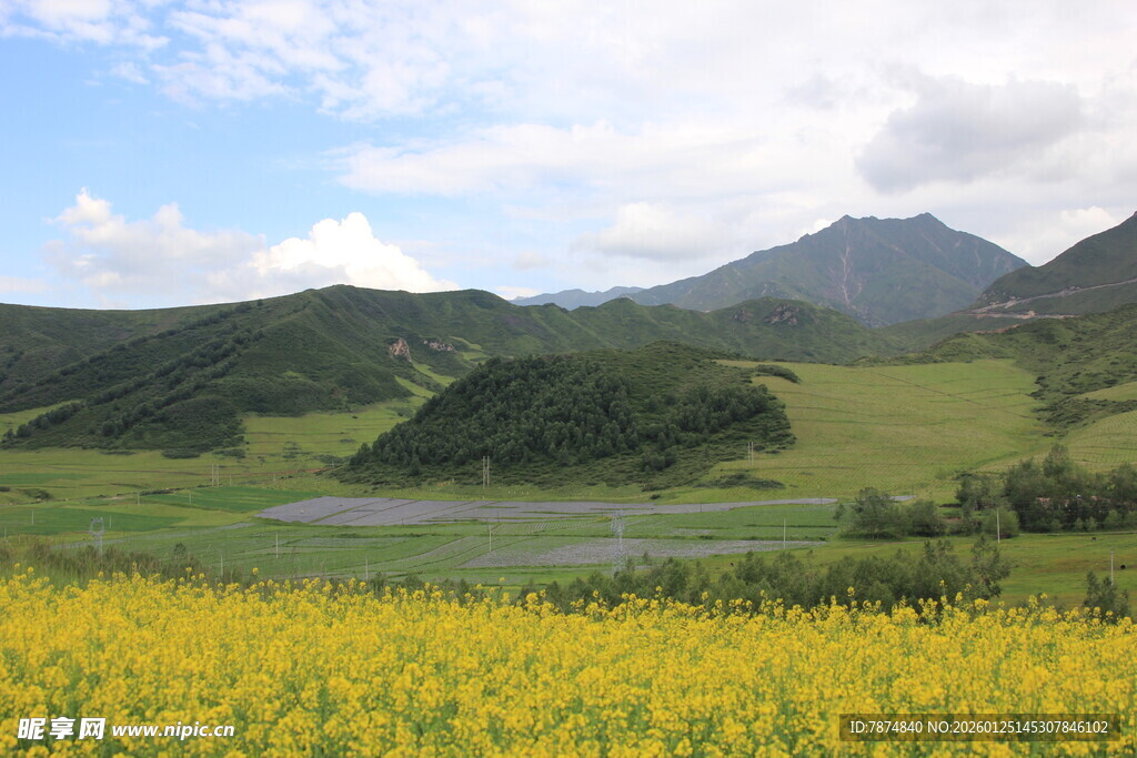 草原花海与远山美景