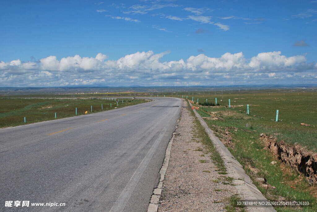 草原公路边的悠闲羊群