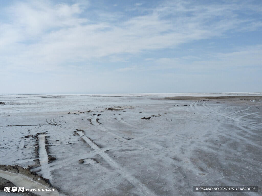 广阔盐碱地景象