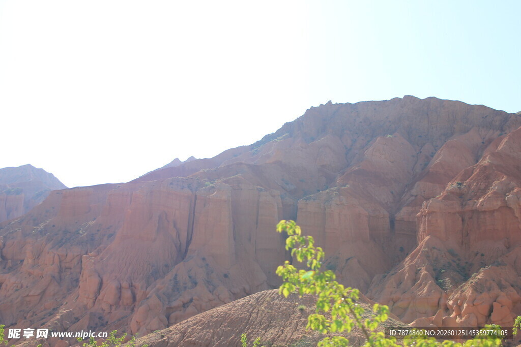 壮丽山景与翠绿植物