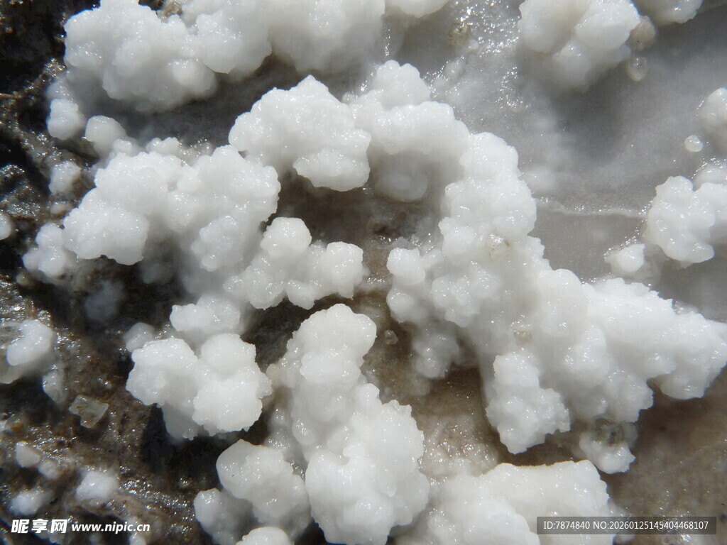 白色块状物特写