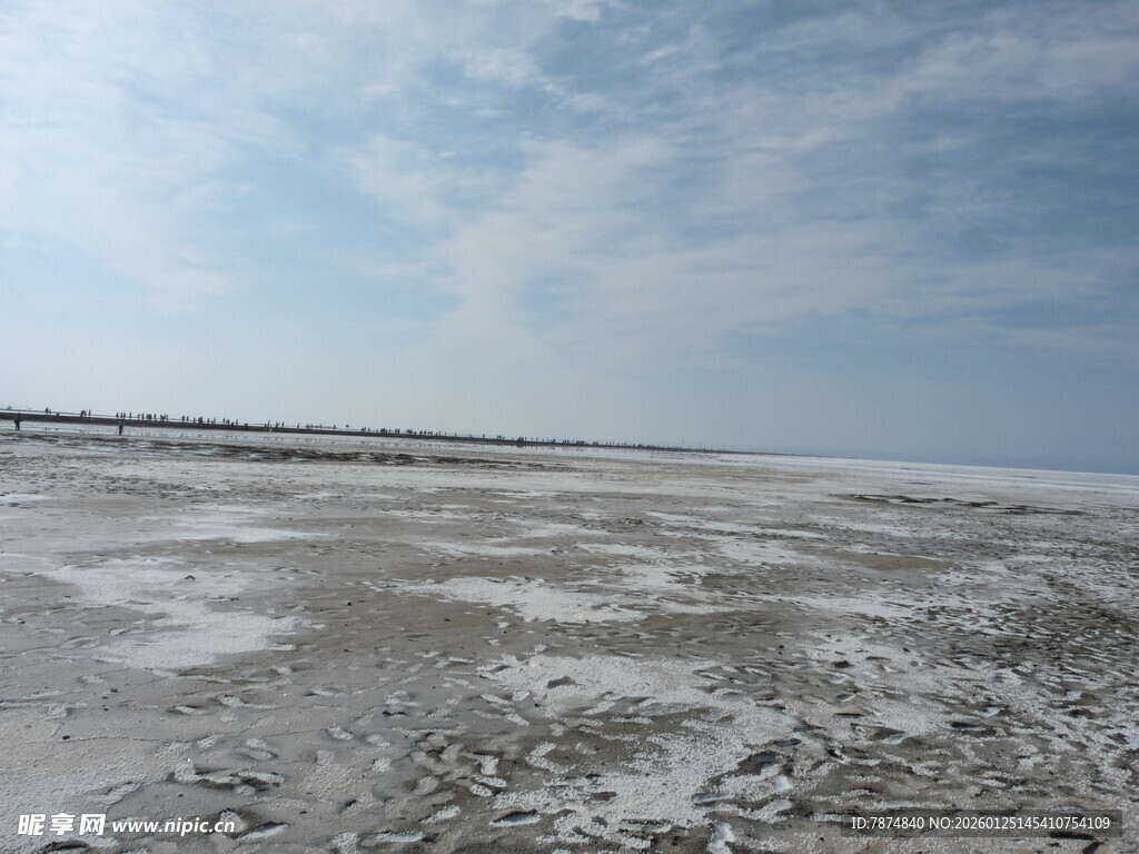 广阔盐碱地景观