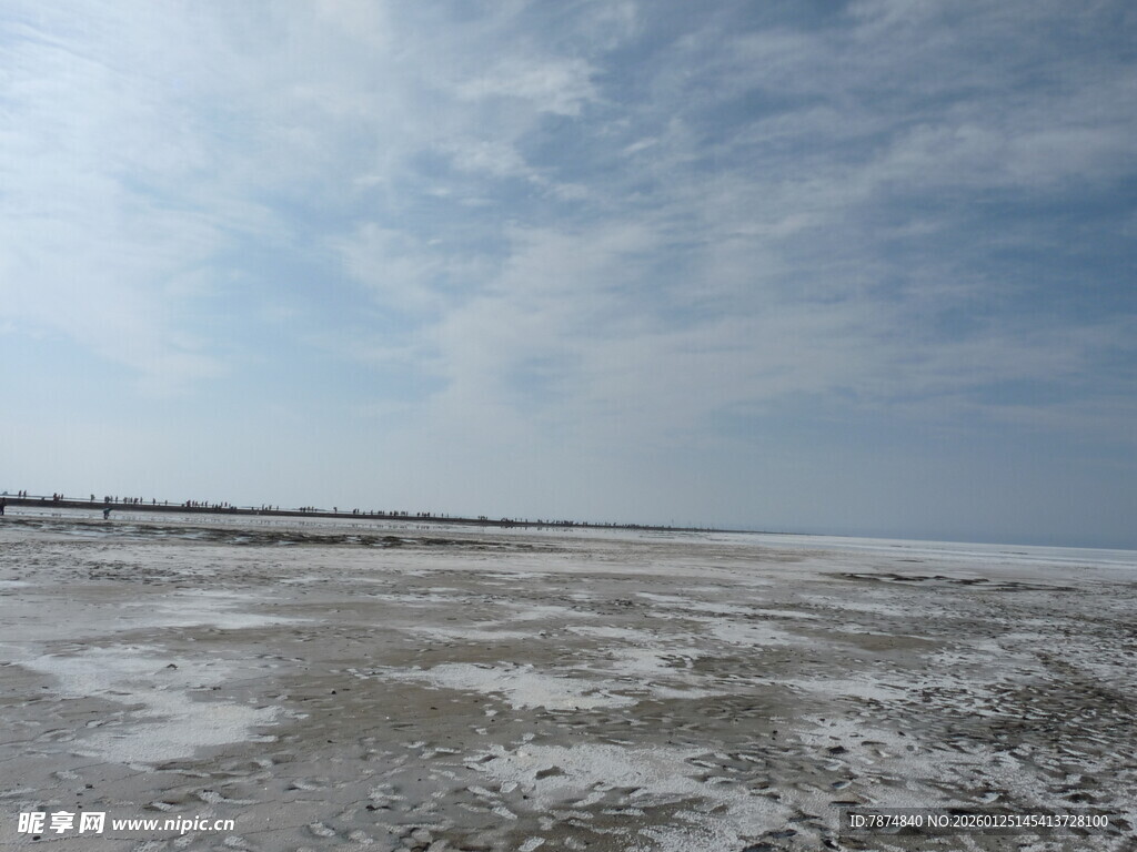 广阔盐碱地景观