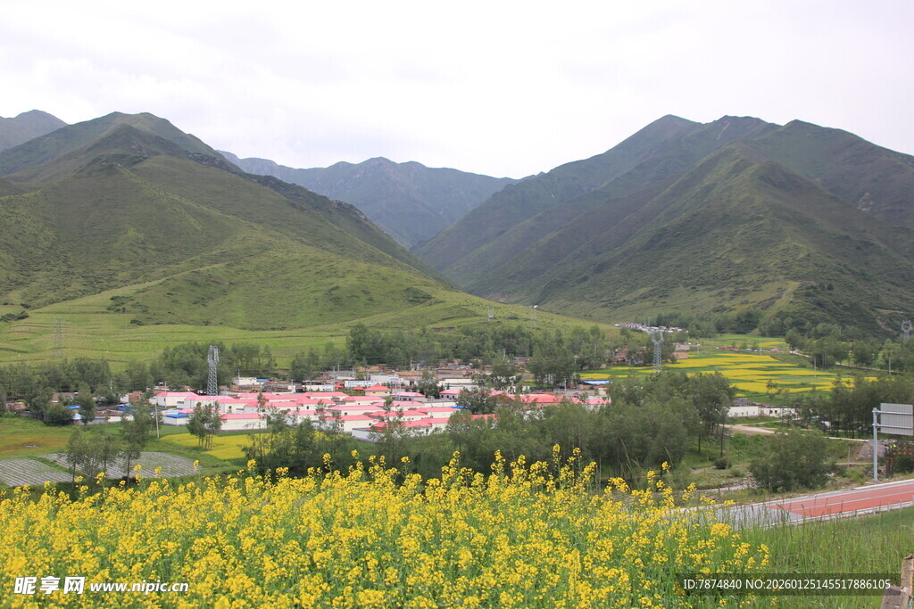 山间花海旁的美丽村落