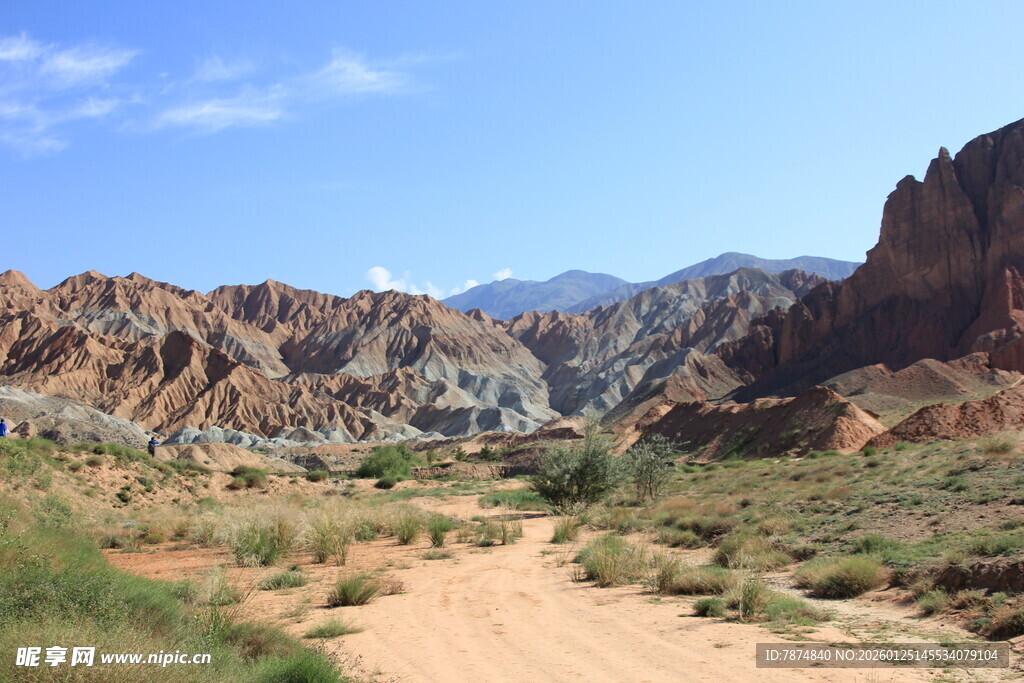 荒漠中的蜿蜒土路