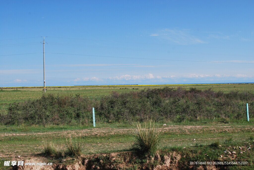广阔田野风光