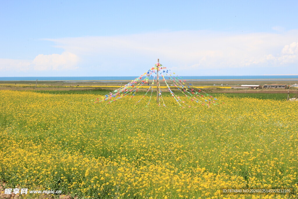 金黄田野中的灌溉设施