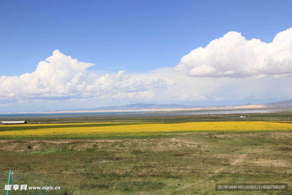 草原花海蓝天美景