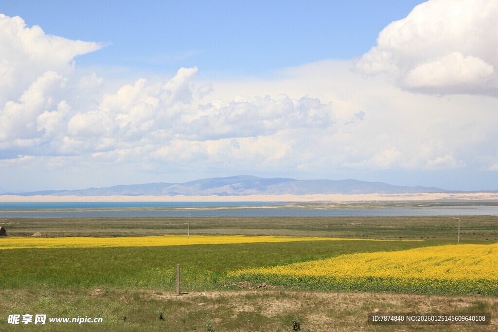 草原花海 蓝天白云美景