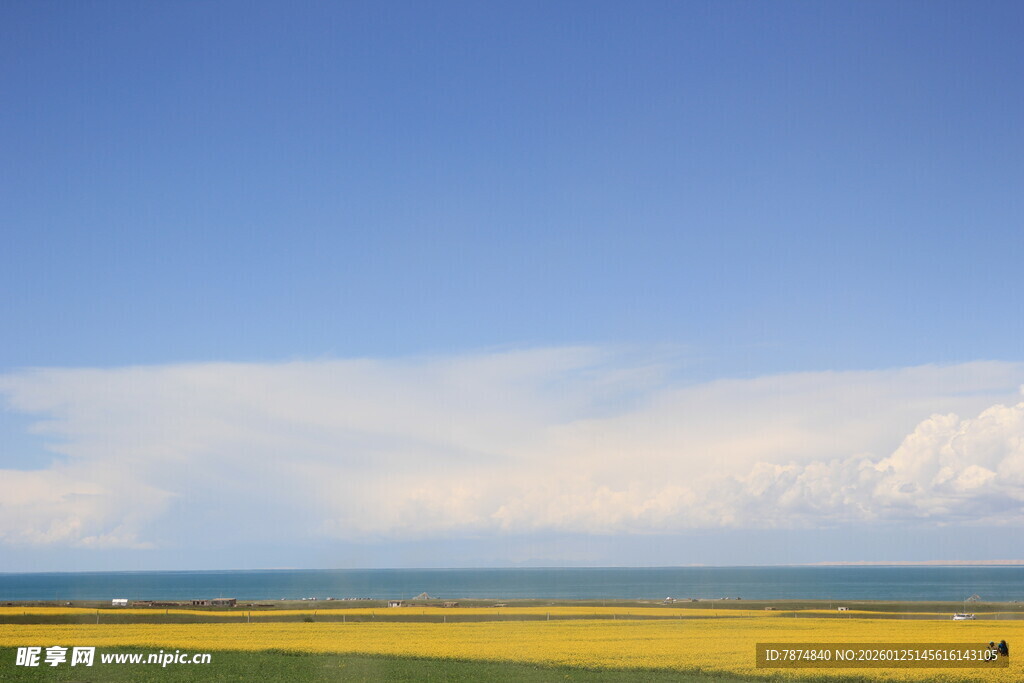 蓝天黄地间的开阔美景
