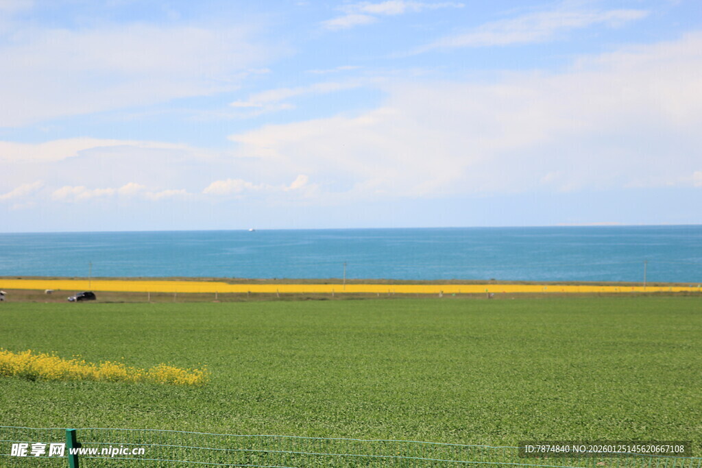 海边绿野风光