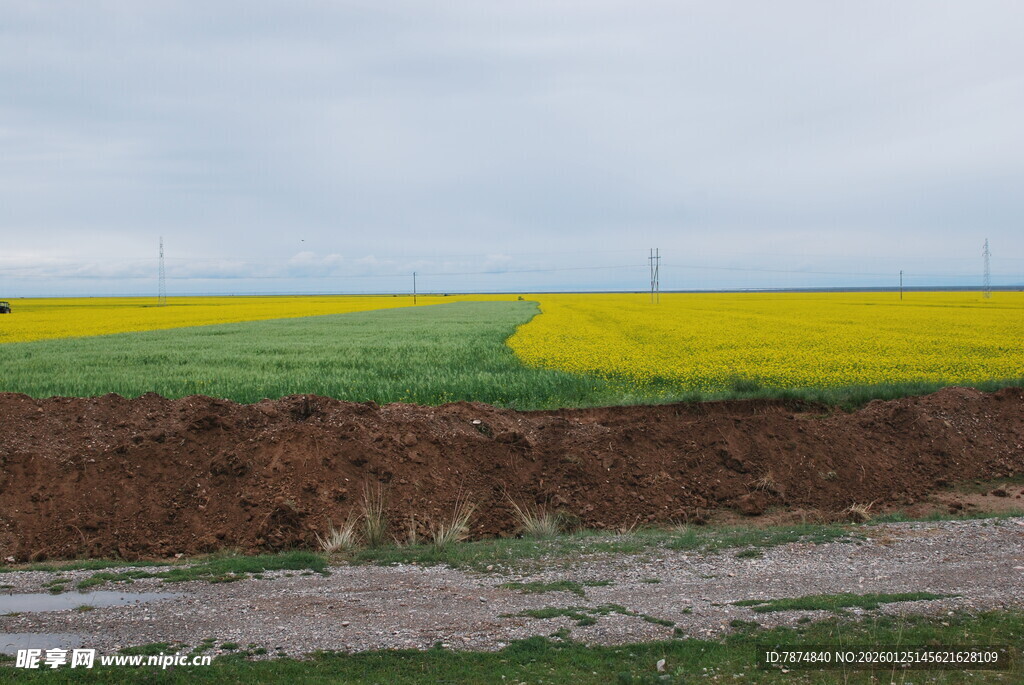 田野间多彩农田风光