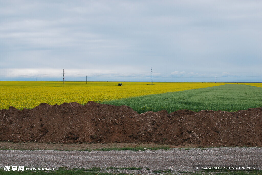 田野风光 多彩农田景致