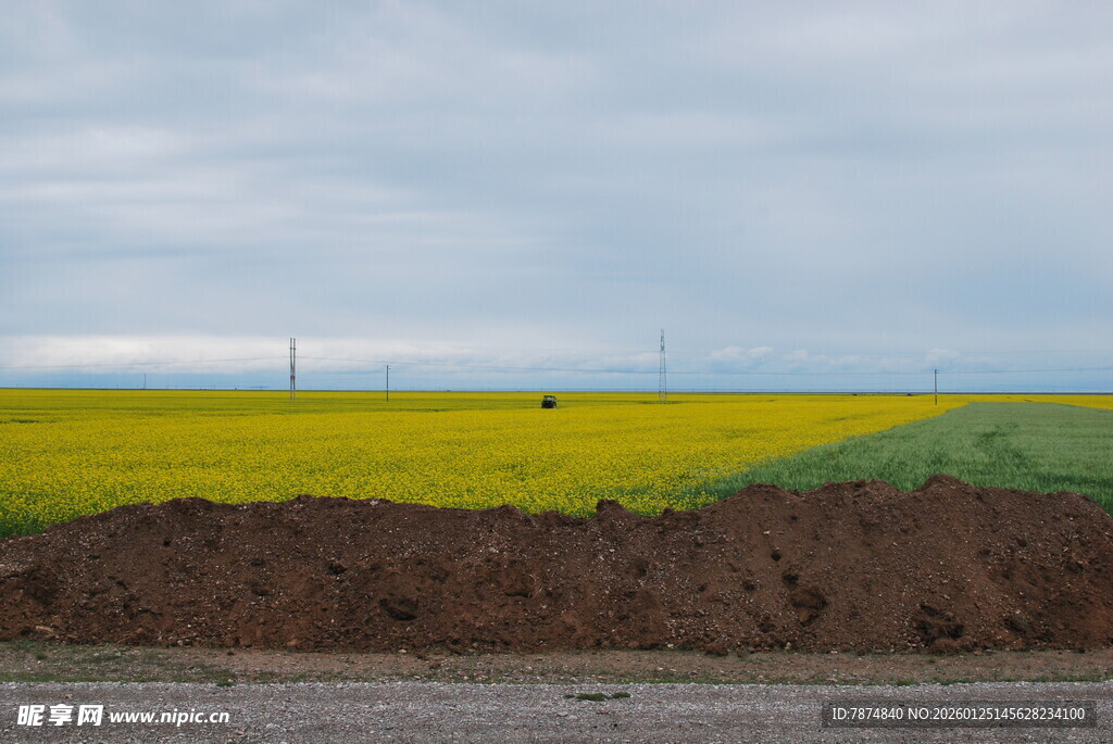 田野间的黄绿双色风景