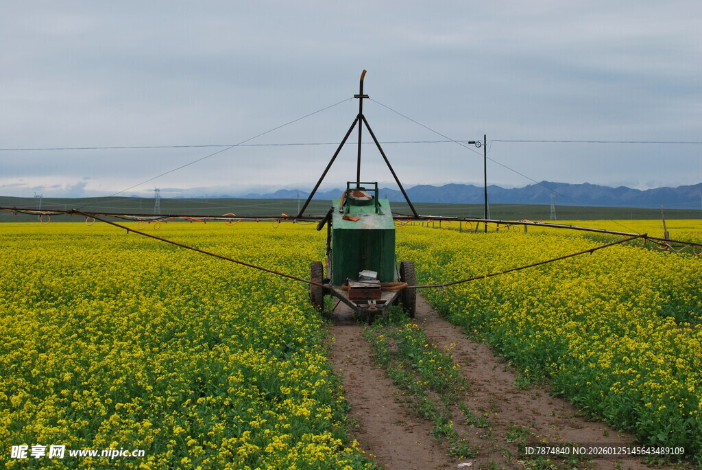 田野中行驶的农用机械