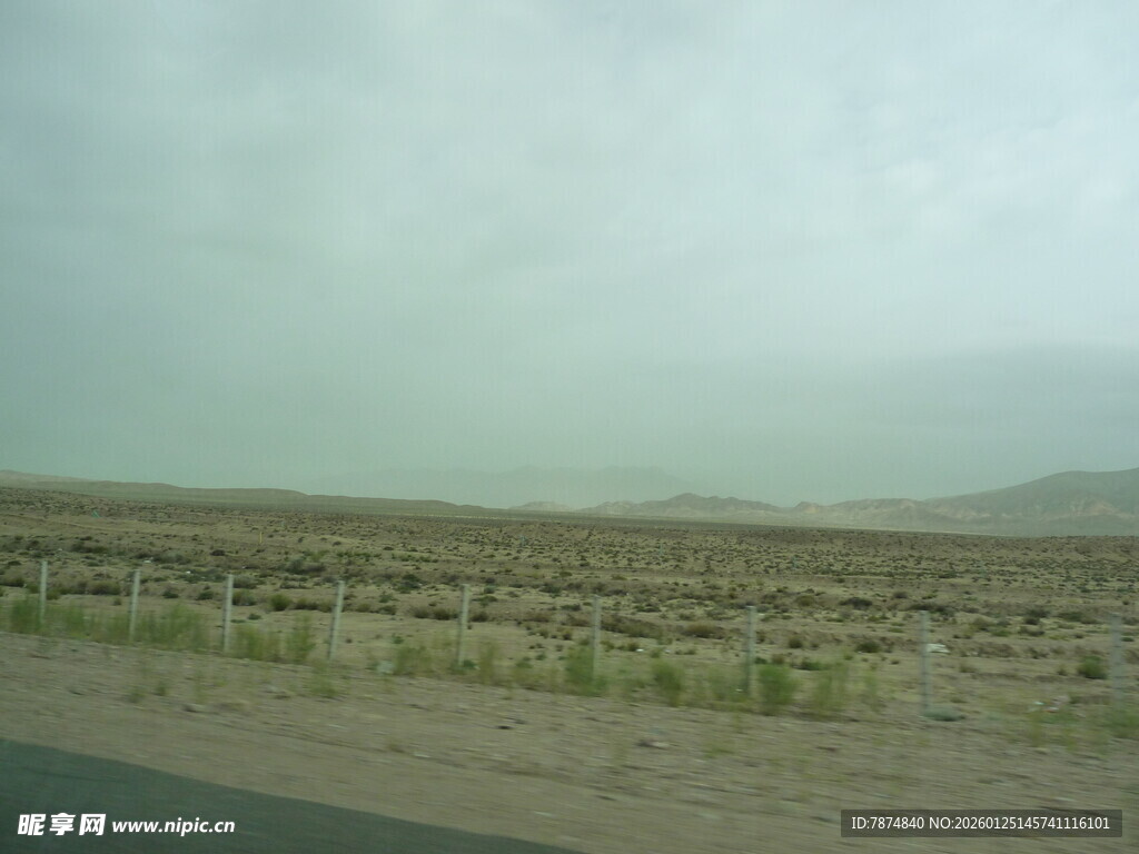 荒漠公路边的稀疏植被